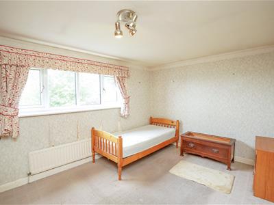 Picture 17